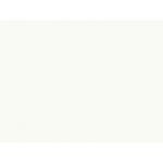 Металлочерепица Полиэстер RAL9003