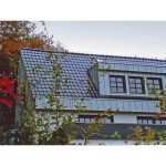 Черепица керамическая TIEFA SUPRA nr. 50 — schwarz