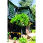 Черепица керамическая TIEFA XL VARIABEL nr. 121 — malachitgr?n