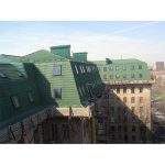 BRAAS ФРАНКФУРТСКАЯ зеленая