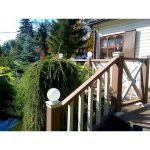 Балясина Sequoia Evolution 3D WOOD 50х50х2900 BLACK