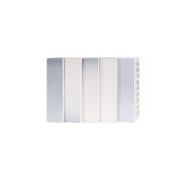 Кирпич керамический Ashen Premium 1НФ