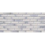 Кирпич керамический Ashen Premium 1НФ