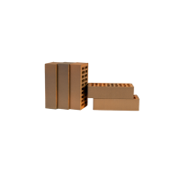 Кирпич керамический Neo Premium 1НФ