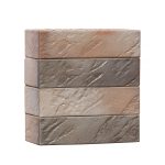 Кирпич VOLGABRICK КР-л-пу-1НФ-250х120х65-Байкал ЛЁД-М200