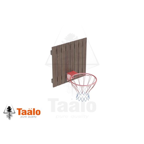 Серия TS модель 4 — кольцо баскетбольное со щитом (для частных владений) Серия TS модель 4 — кольцо баскетбольное со щитом (для частных владений)