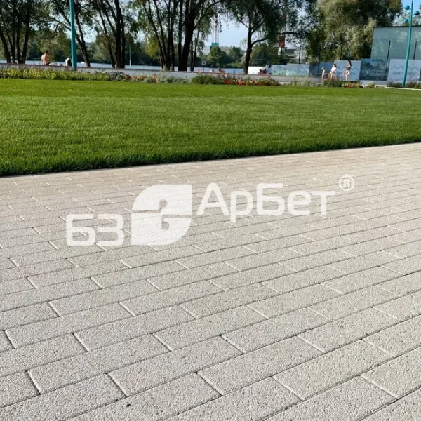 Тротуарная плитка РИГЕЛЬ Однотонные